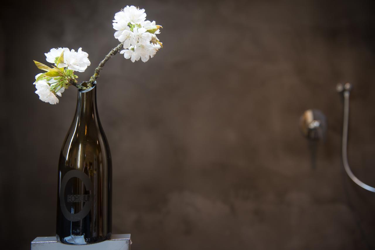 Weingut Georgium Bed & Breakfast Sankt Georgen am Langsee Ngoại thất bức ảnh