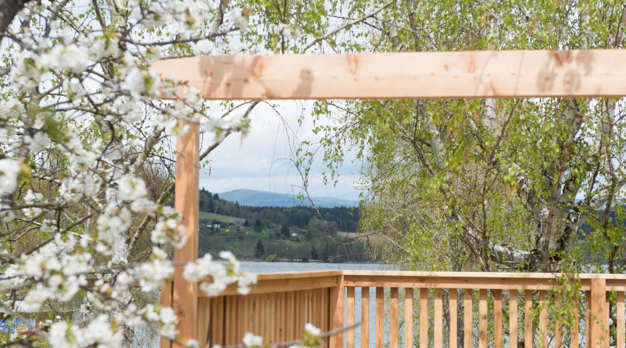 Weingut Georgium Bed & Breakfast Sankt Georgen am Langsee Ngoại thất bức ảnh