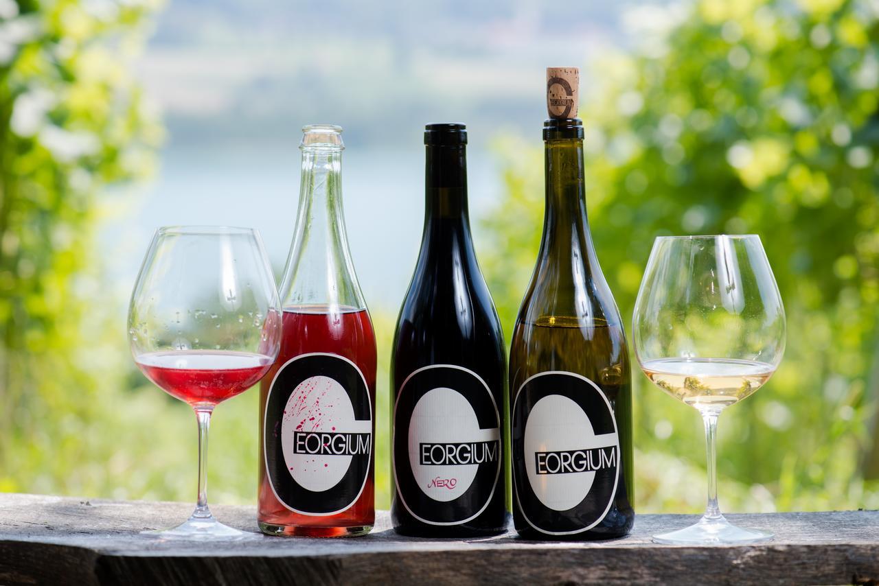 Weingut Georgium Bed & Breakfast Sankt Georgen am Langsee Ngoại thất bức ảnh